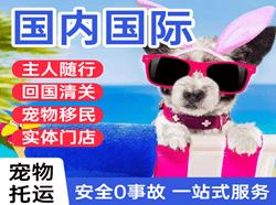吕梁空运地址国际宠物托运 【国